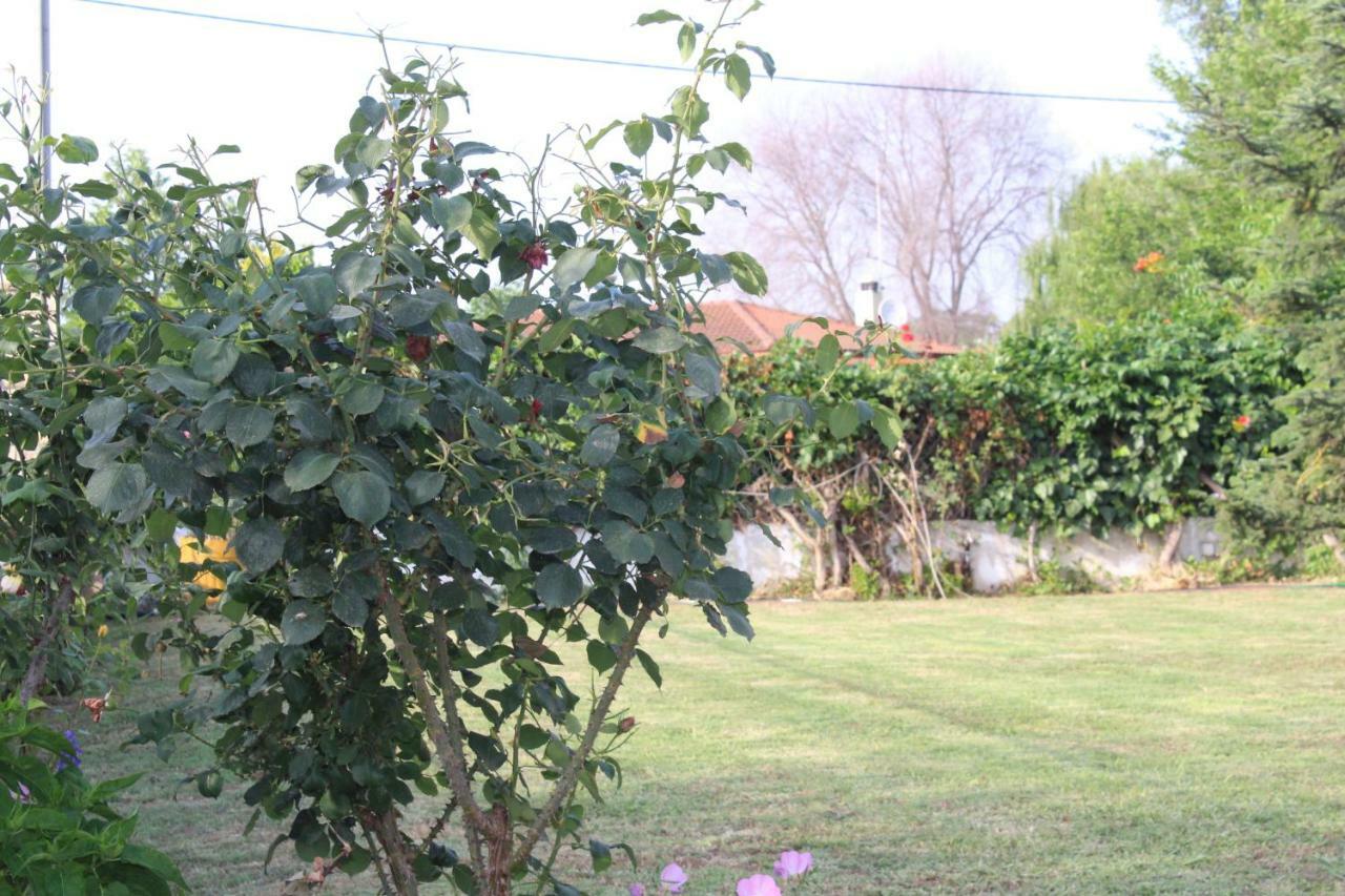 Maria'S Guesthouse Keramoti  Extérieur photo